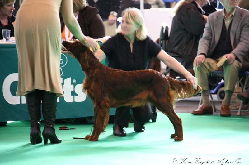 Crufts2011 097.jpg